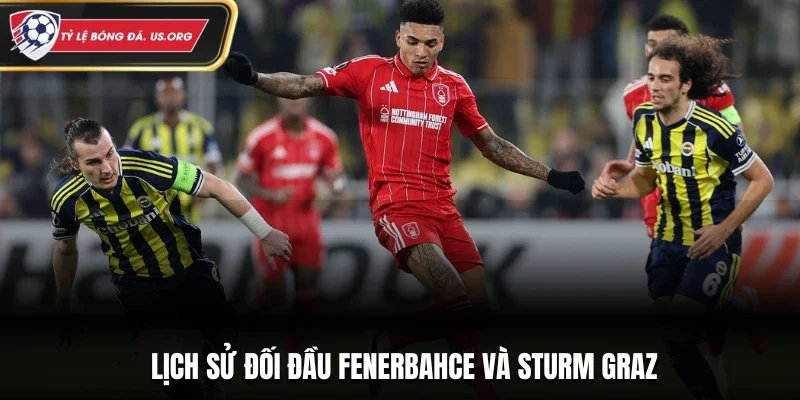 Lịch sử đối đầu Fenerbahce và Sturm Graz